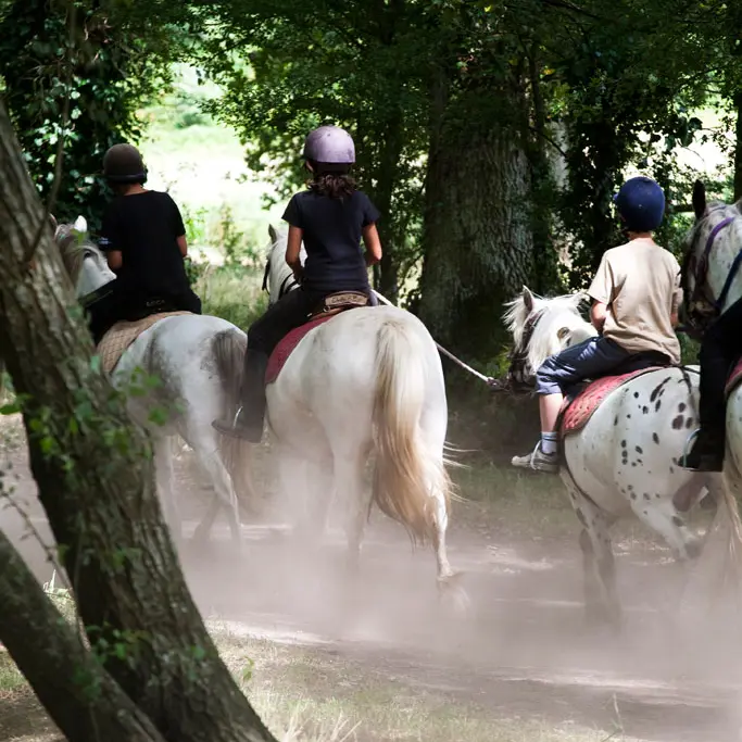 Vallee-de-la-sarthe-chevaux-mesangeres-iti-72