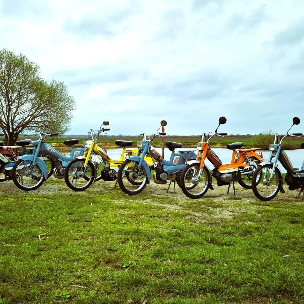 balade motorisée en mobylette dans le marais poitevin - Moteur du Bon Temps -3