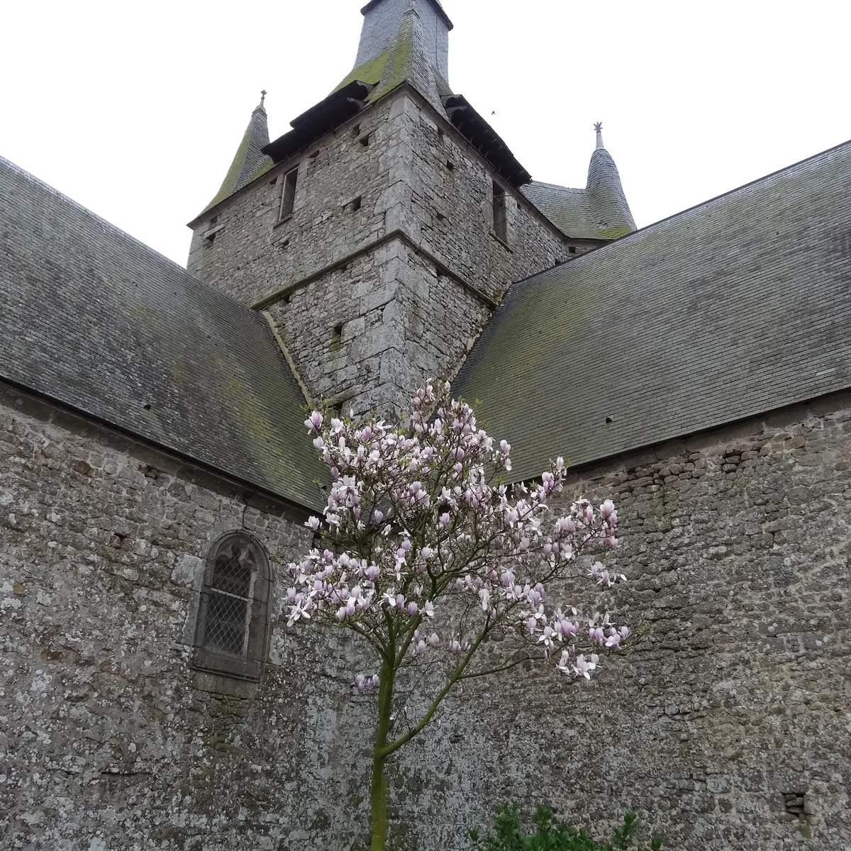 sentier-du-saut-au-loup-brece-53-iti-500