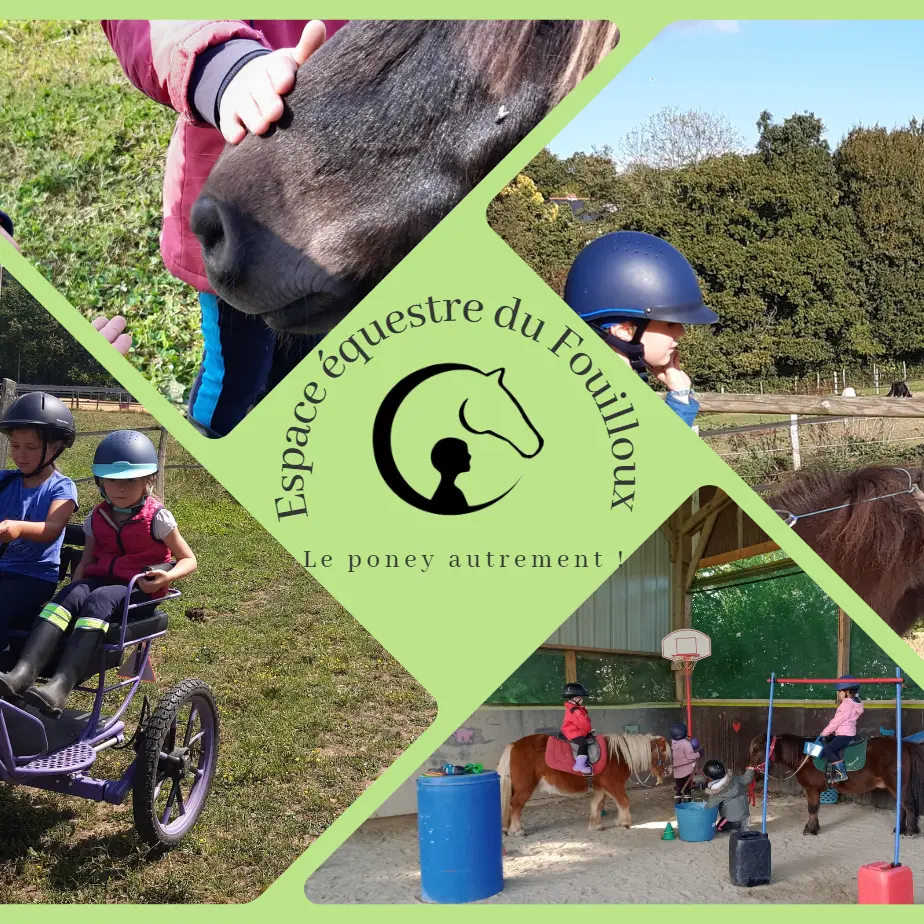 comm presentation espace equestre