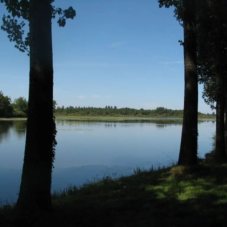 etang-neuf-juvigne-53-10