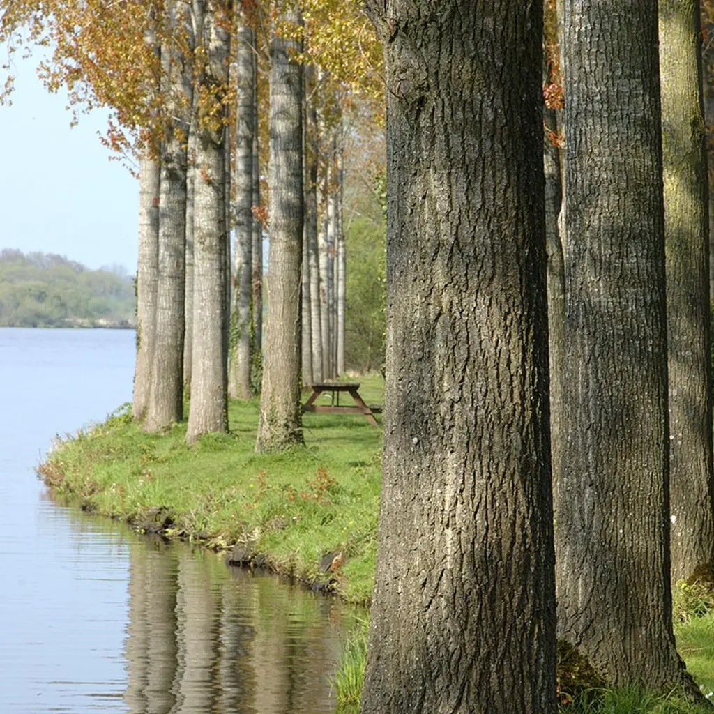 etang-neuf-juvigne-53-8