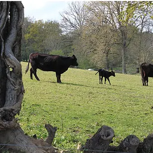 Ferme Roc au Loup