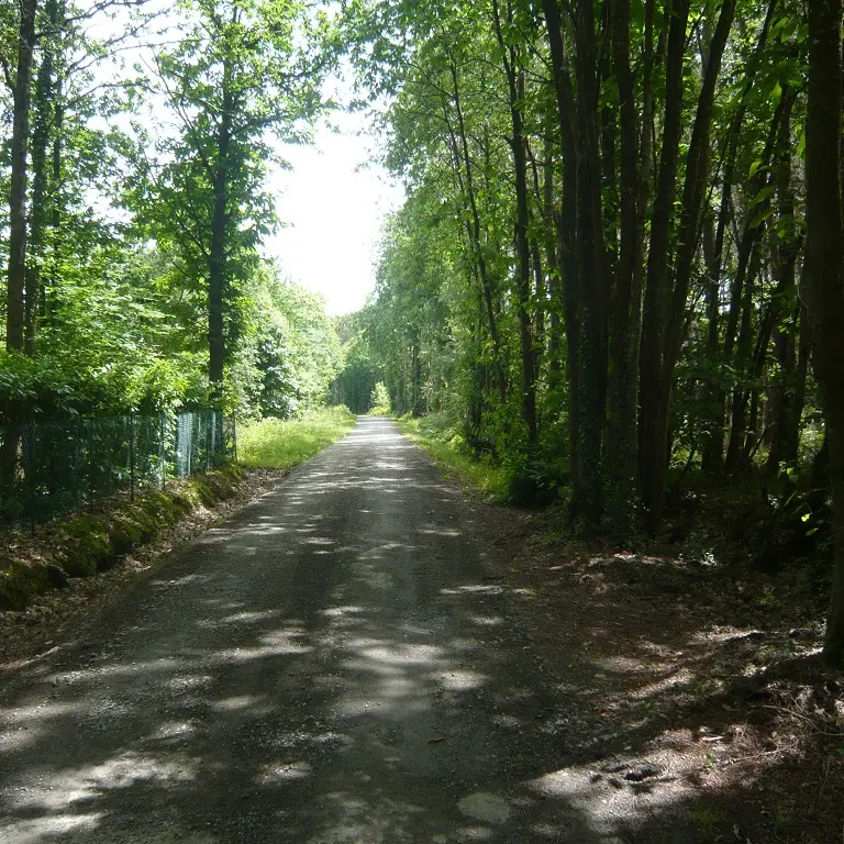 Circuit La Futaie