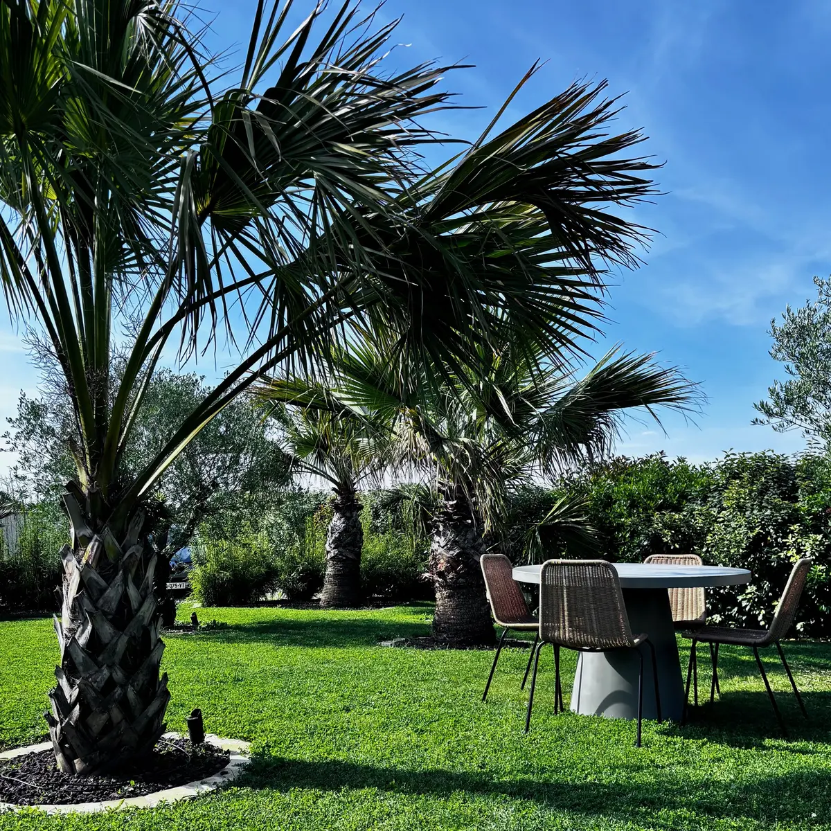 meublé-chez-axel-fontenay-le-comte-vendee-85-2