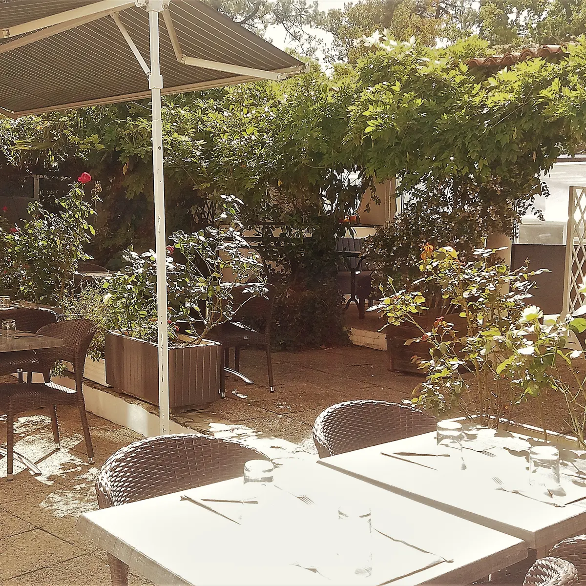 patio 22
