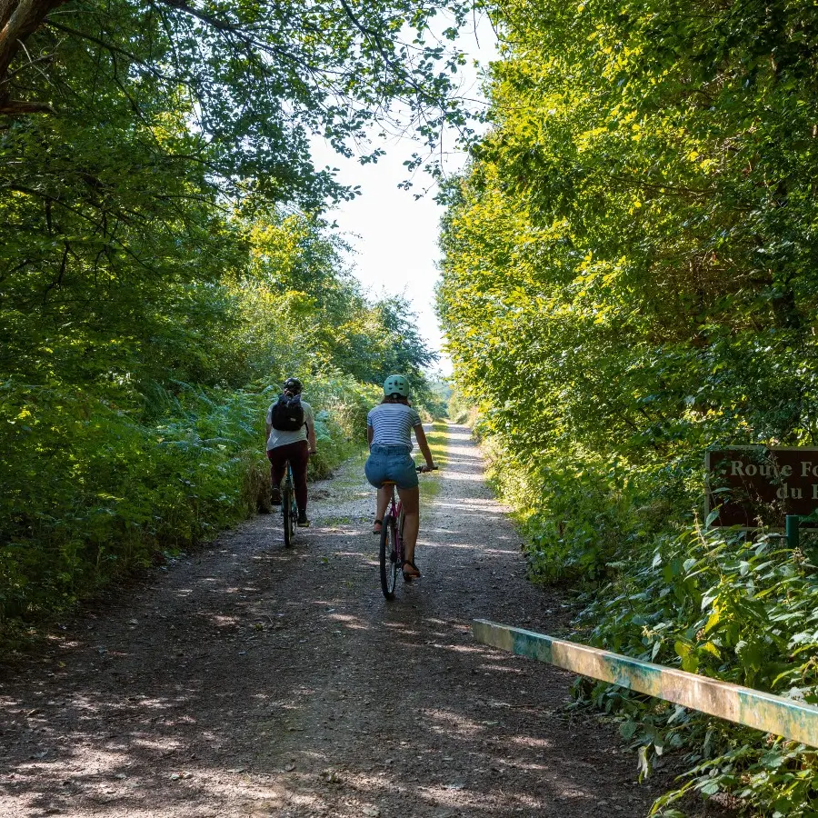 A la découverte de la forêt de Lyons à VTT