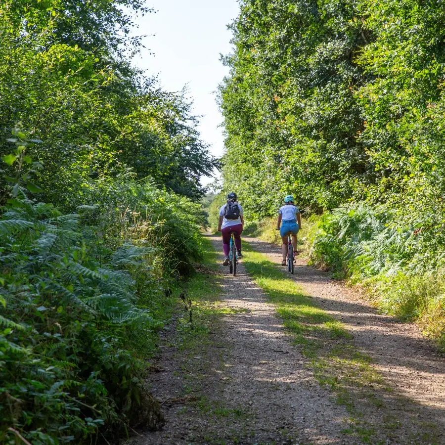 La forêt de Lyons à vélo