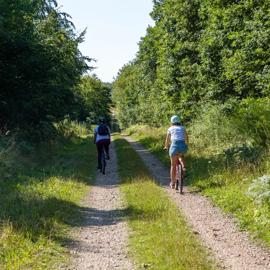 La forêt de Lyons à VTT