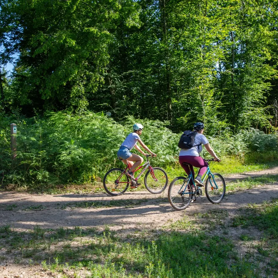 La forêt de Lyons à vélo