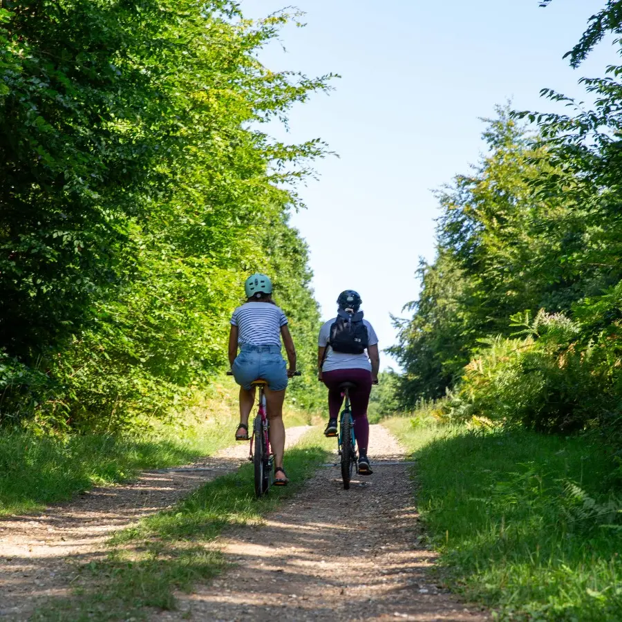 A VTT dans la forêt de Lyons