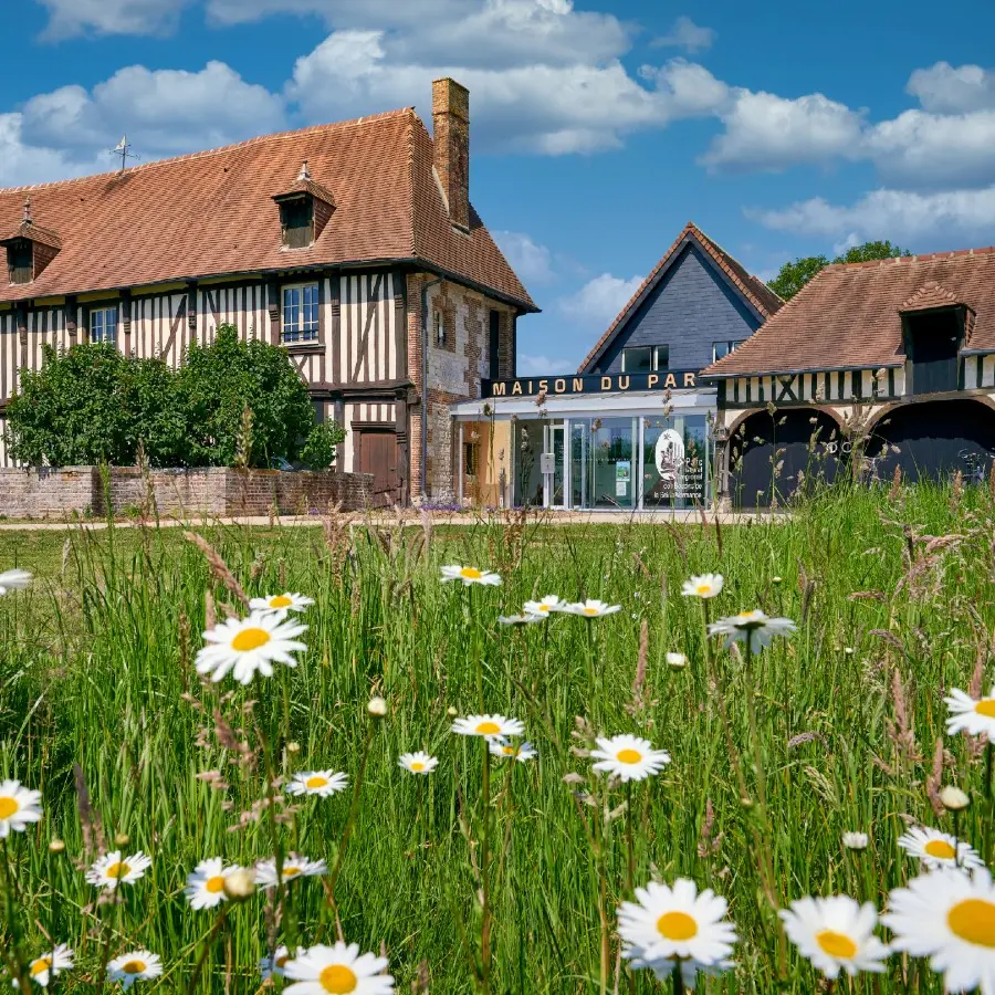 Parc des Boucles de La Seine Normande - Notre-Dame-de-Bliquetuit