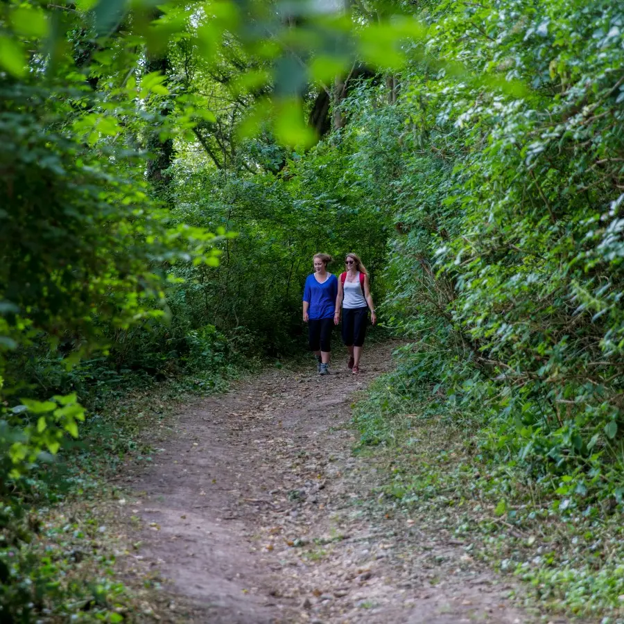 Randonnée dans la campagne cauchoise