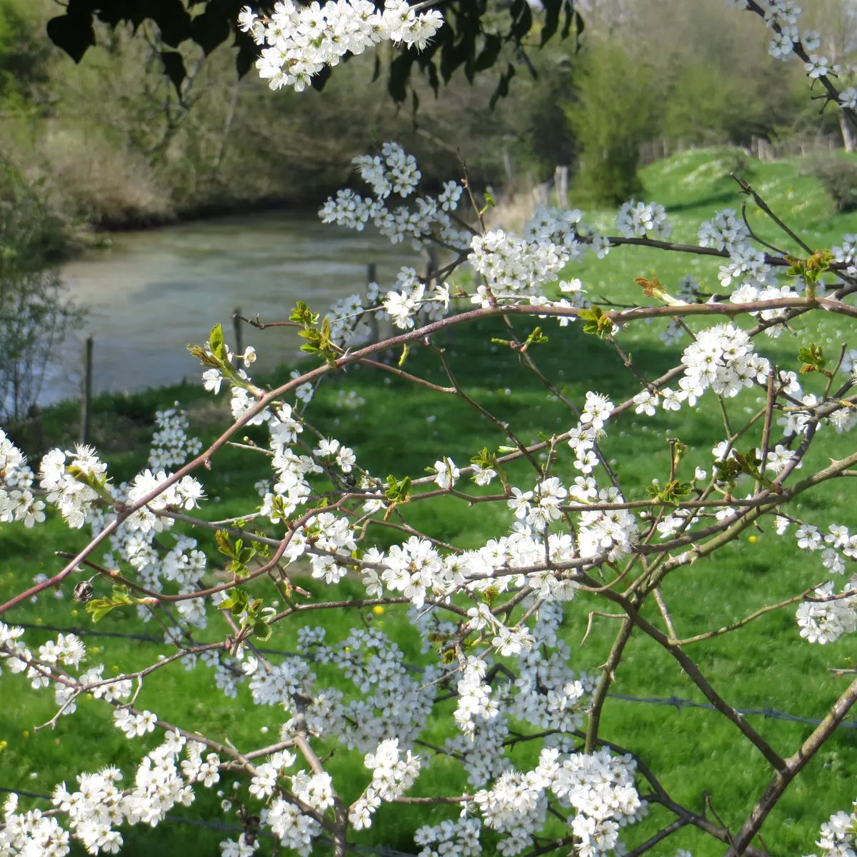 Boucle 6 Cent-Acres ©PAT Terroir de Caux (36)