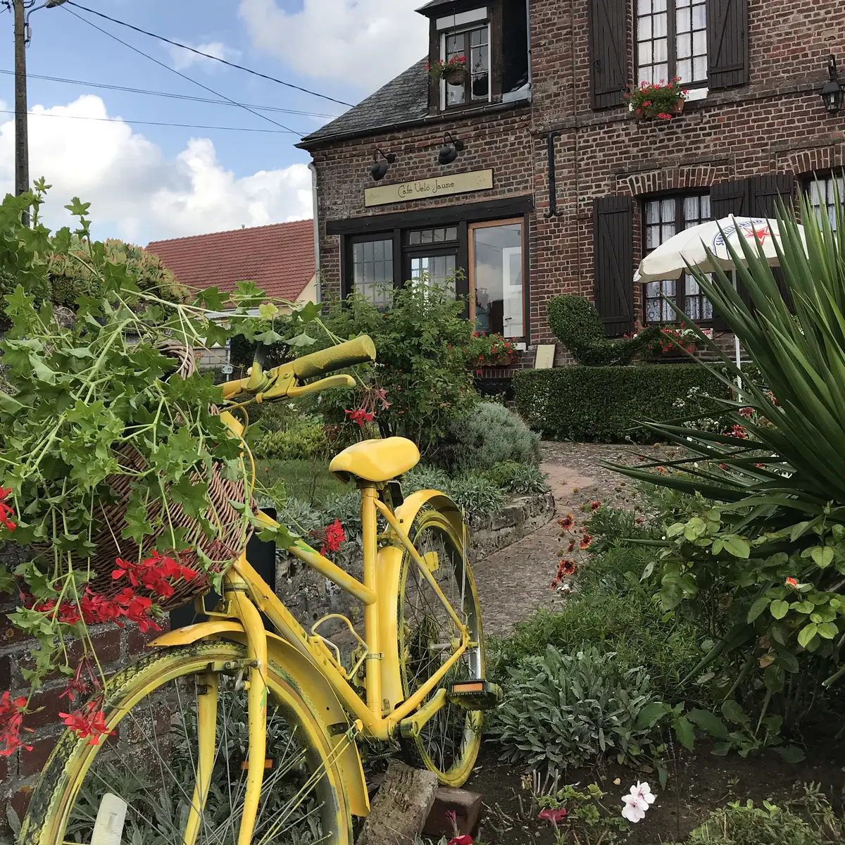 CAFE VELO JAUNE 2021 (1)
