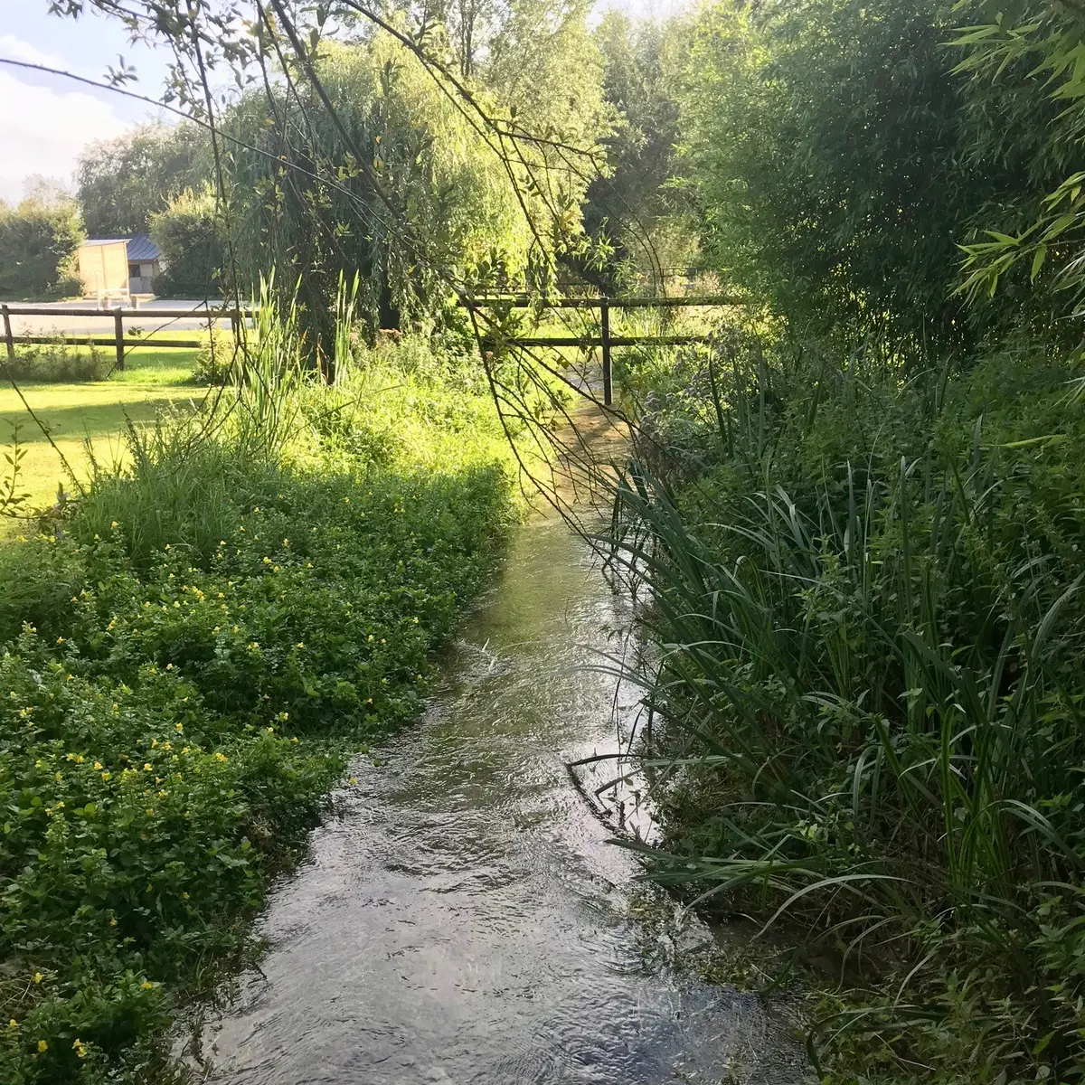 Caux-Seine-Tourisme-Mme-KRZYCZKOWSKA-Gite-du-Manoir-du-Perroy-Four-a-pain-exterieur-5