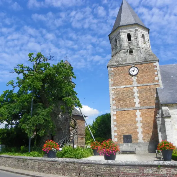 Chêne d'Allouville