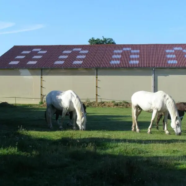 Le Manège à blé