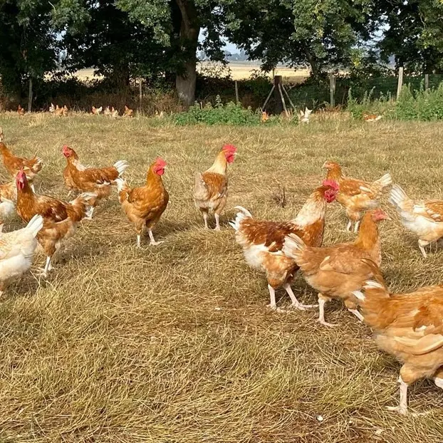 SCEA la ferme du pays pissy poville