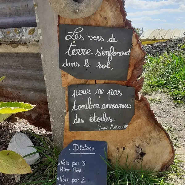 LOI_sainte-colombe_etoile-verte©otca-2020 redim (26)