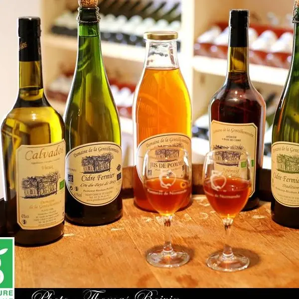 Les Vergers de la Gentilhommiére - Osmoy-Saint-Valery 2 800x600