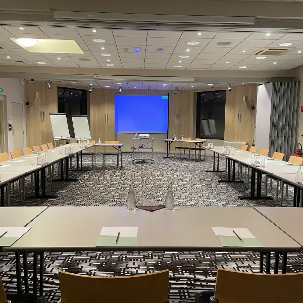 MERMOZ LINDBERGH (30)