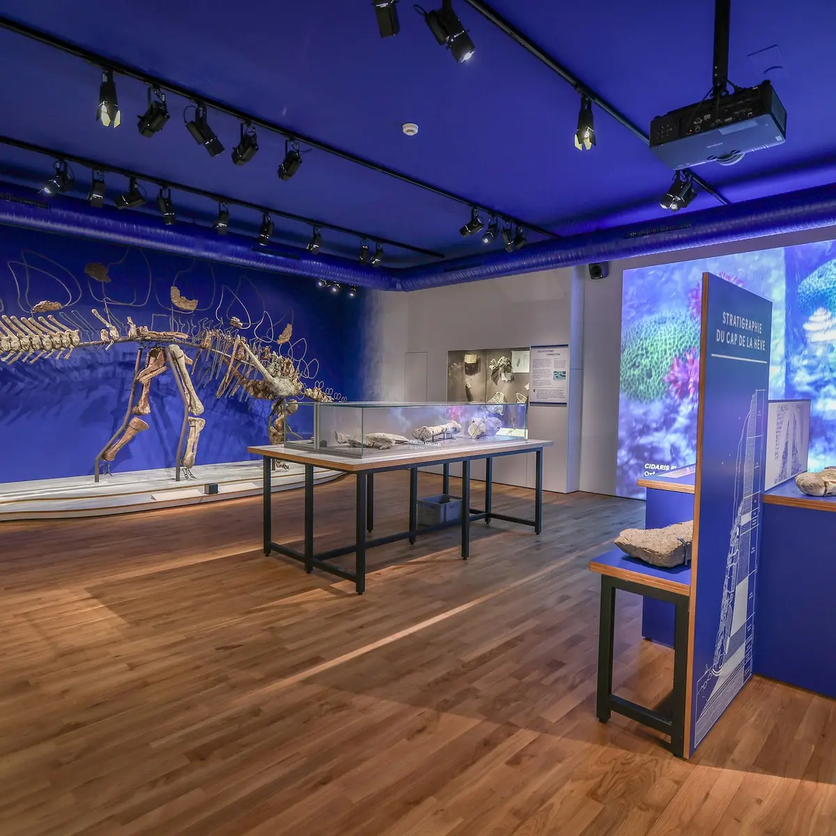 Muséum d'histoire naturelle du Havre