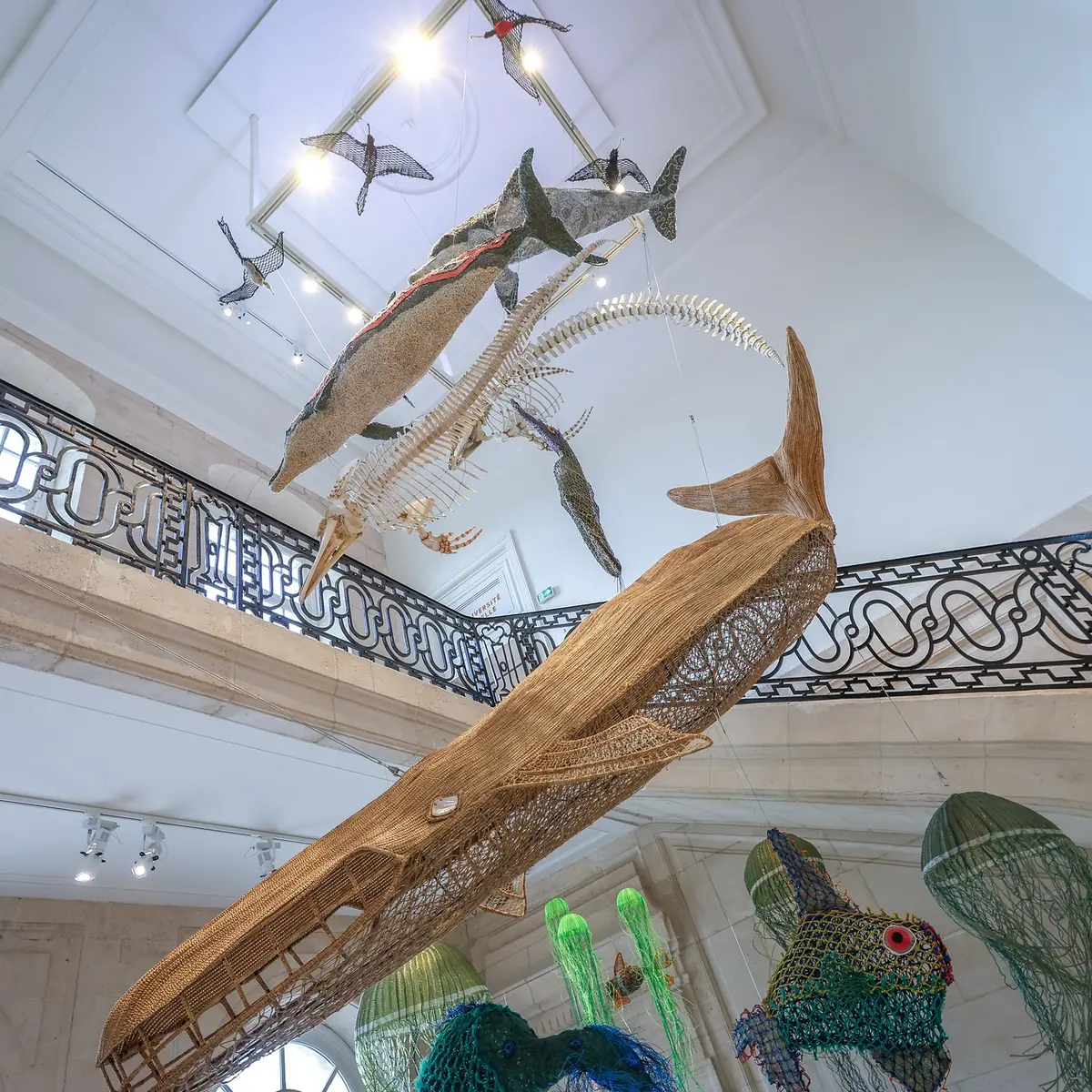 Muséum d'histoire naturelle du Havre