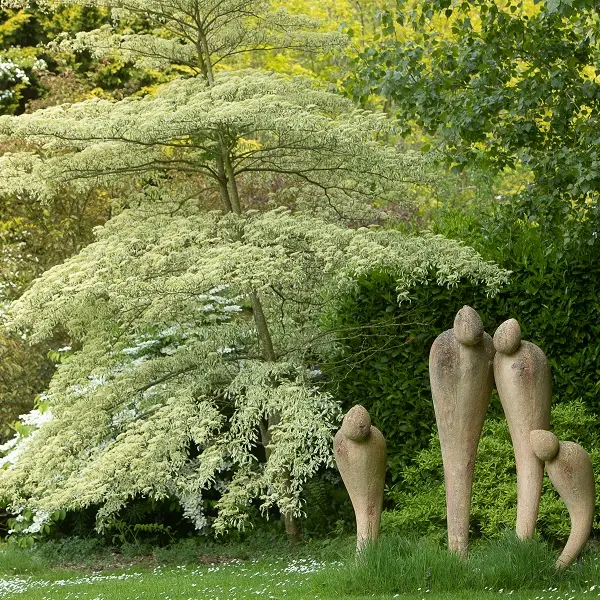 PCU_chapelle-sur-dun_terre-accord©arnoux-2022 (4)