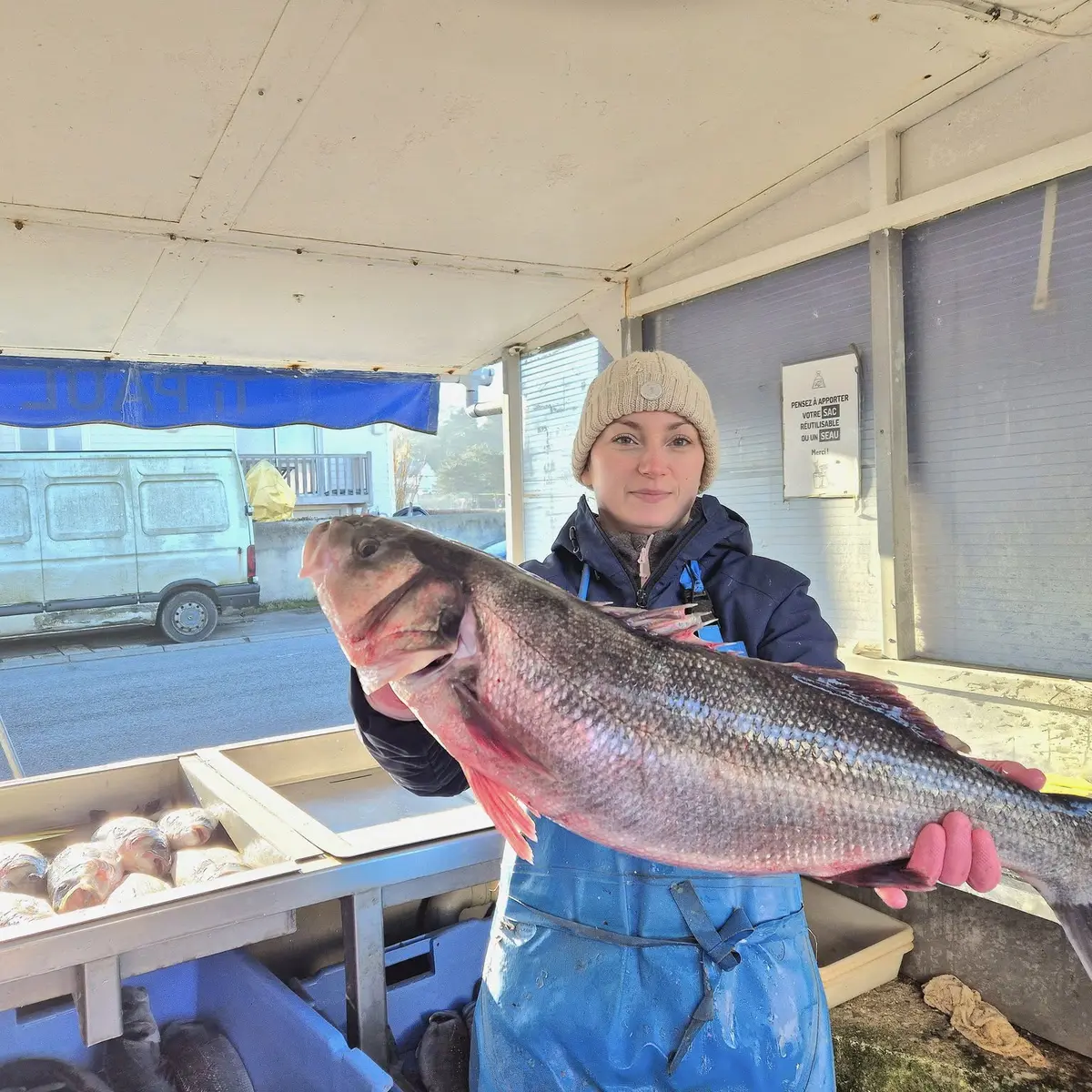 Poisson Ti Paul