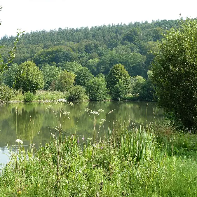 PNA-grainville-la-teinturiere-basses-eaux-ccca-2020--3-