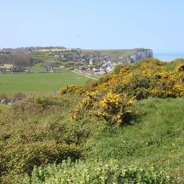 PNA-paluel-site-nature-du-pont-rouge-ccca-2020--8-