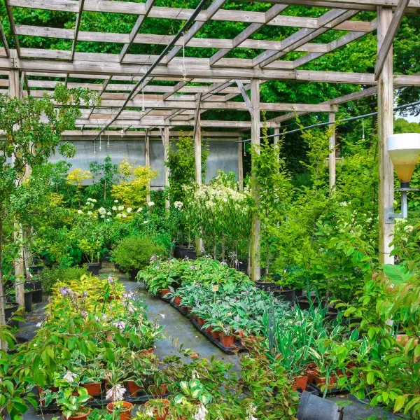 Parc du Château de Mesnières-en-Bray