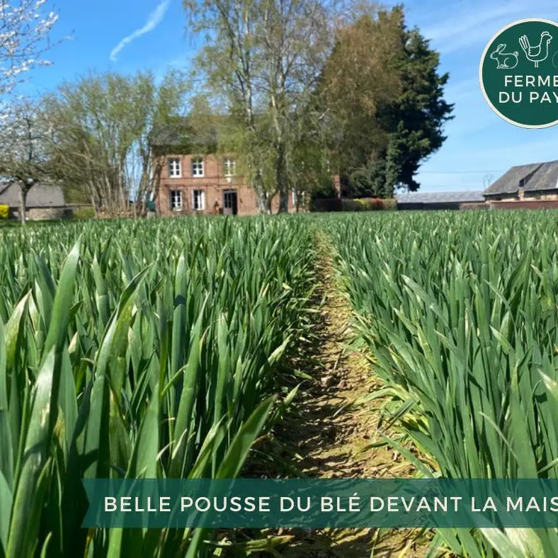 Photo FB la ferme du pays pissy poville