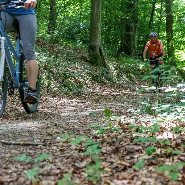 Randonnée à VTT