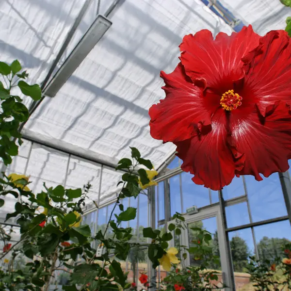 Serres des Jardins Suspendus
