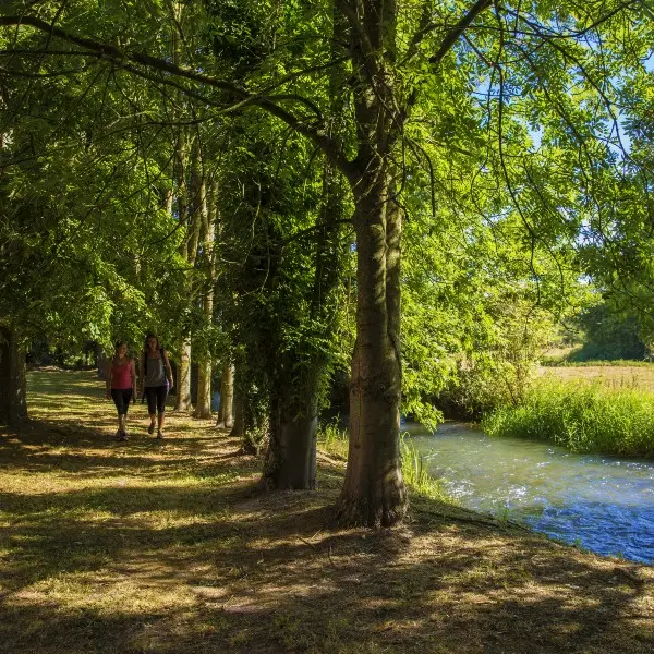 Terroir de Caux© SMA 2018-A.BEAUVOIS (91) (1)
