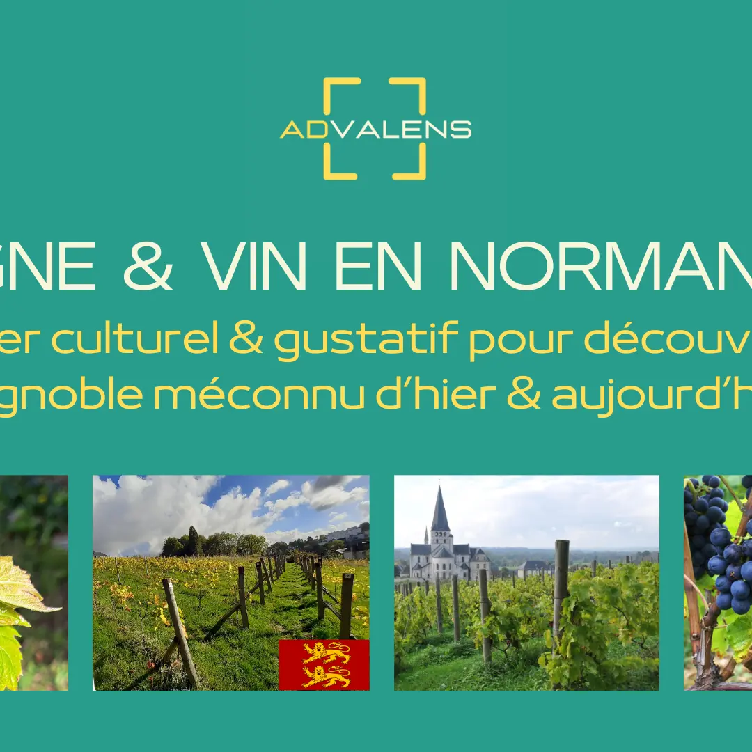 Visuel.Vigne&VinNormandie-ADVALENS - 1