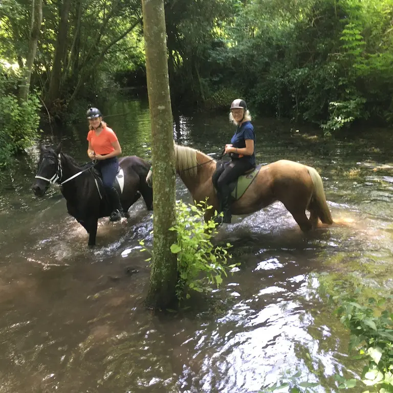 cavalieresetchevauxlevriereIMG_0587