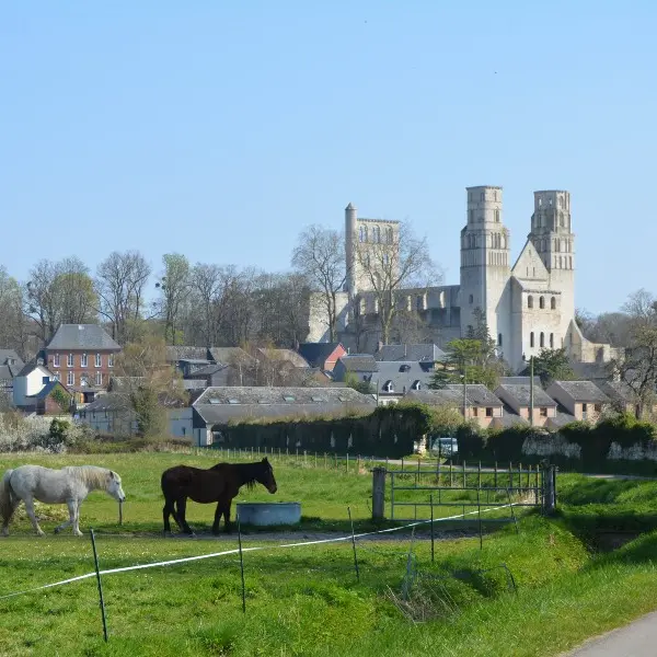 de_yainville_à_jumièges-sma-mathilde_harel-800x600 (2)