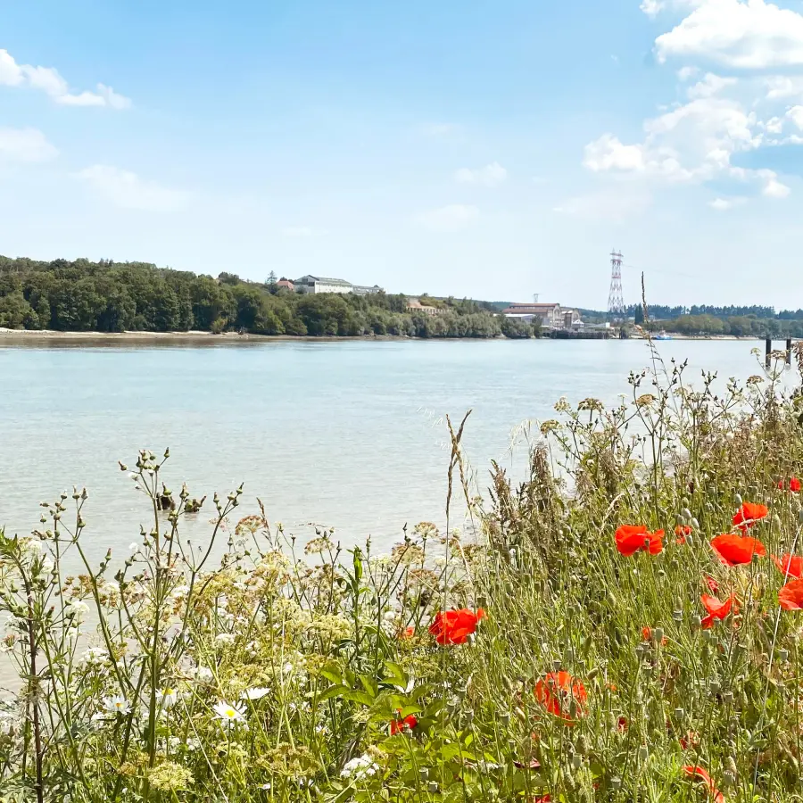 lo-gi-en-Seine-heurteauville-meuble-seine-cottey