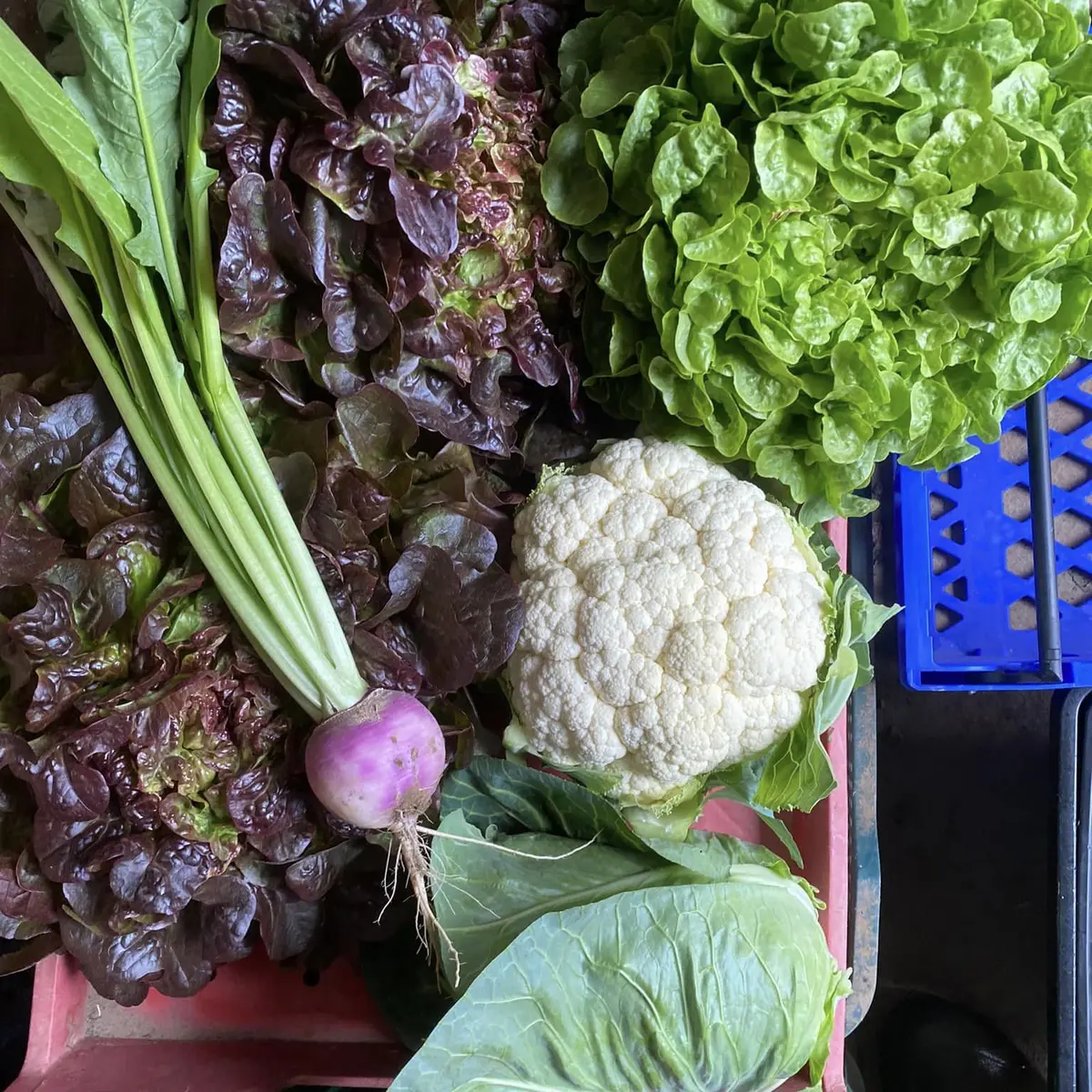 Panier