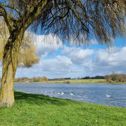 Aire CAMPING-CAR PARK de Mansigné2