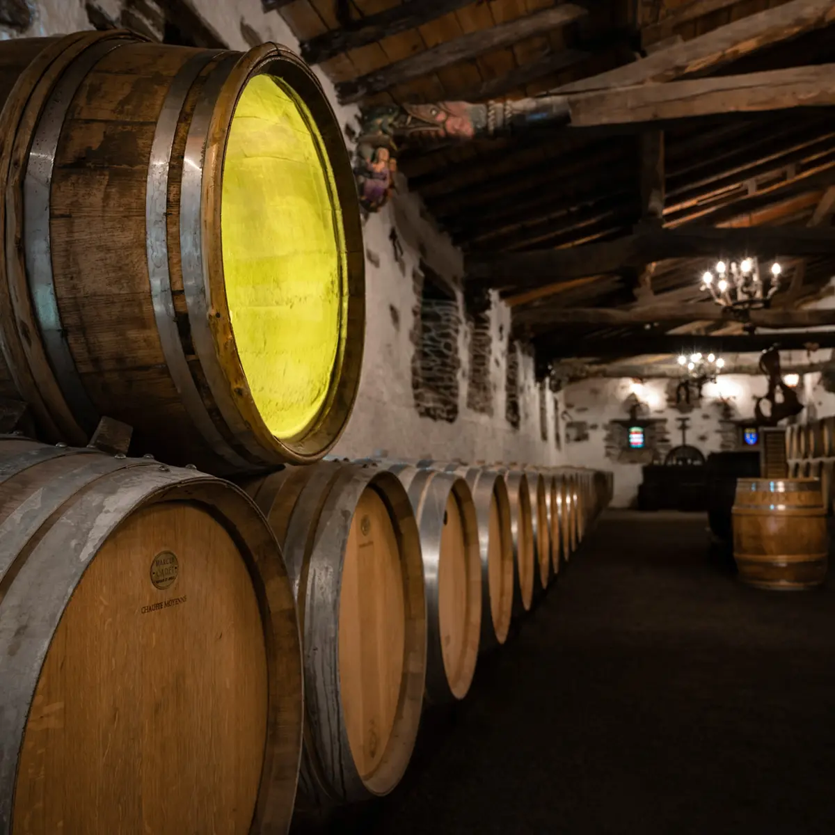 Chai Château Chasseloir