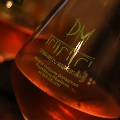 2017-domaine-mauperthuis-mouzillon-44-levignobledenantes-2