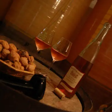 2017-domaine-mauperthuis-mouzillon-44-levignobledenantes-3