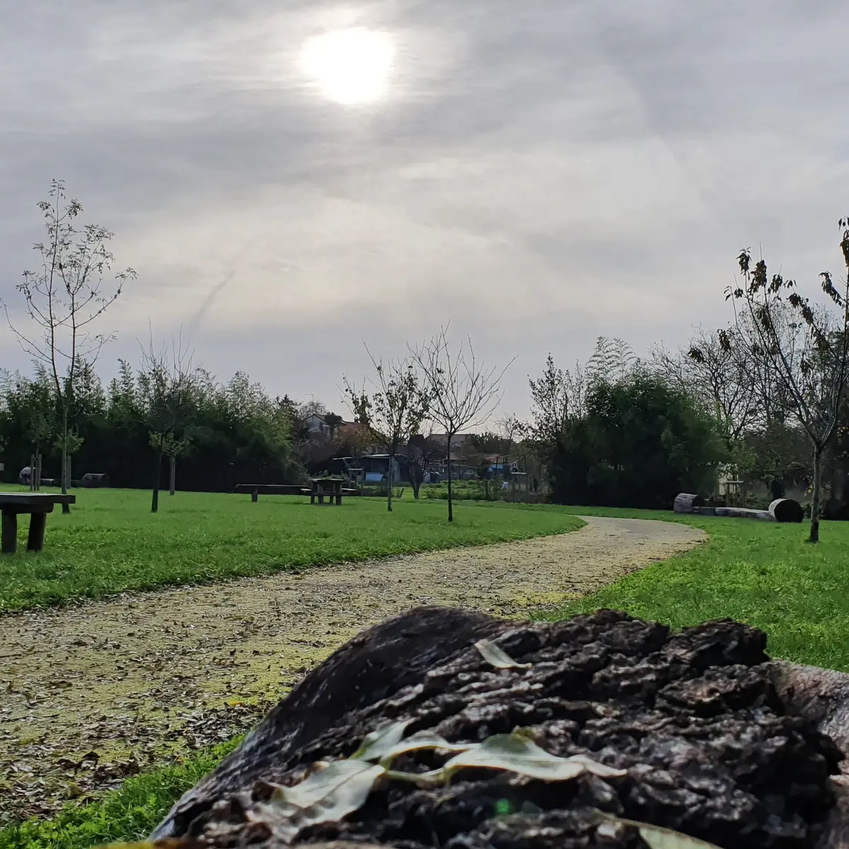 airedepique-fontenay-vendee