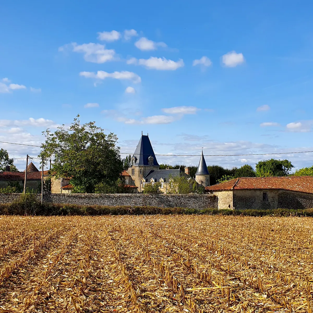 20200928_162046 - Copie