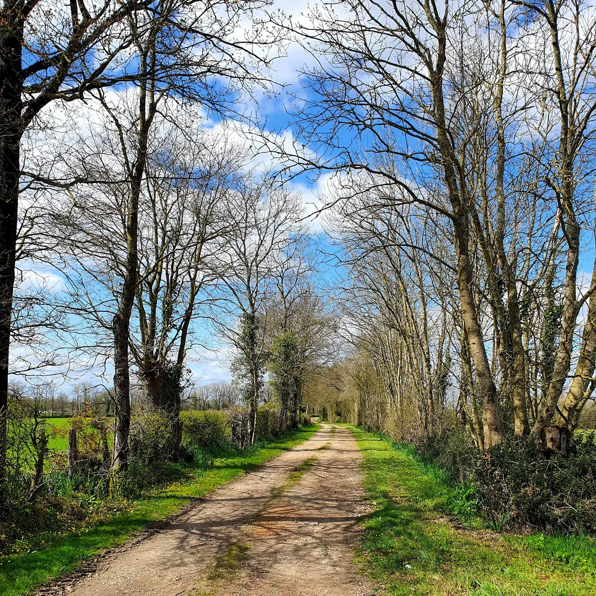20210325_140723 - Copie