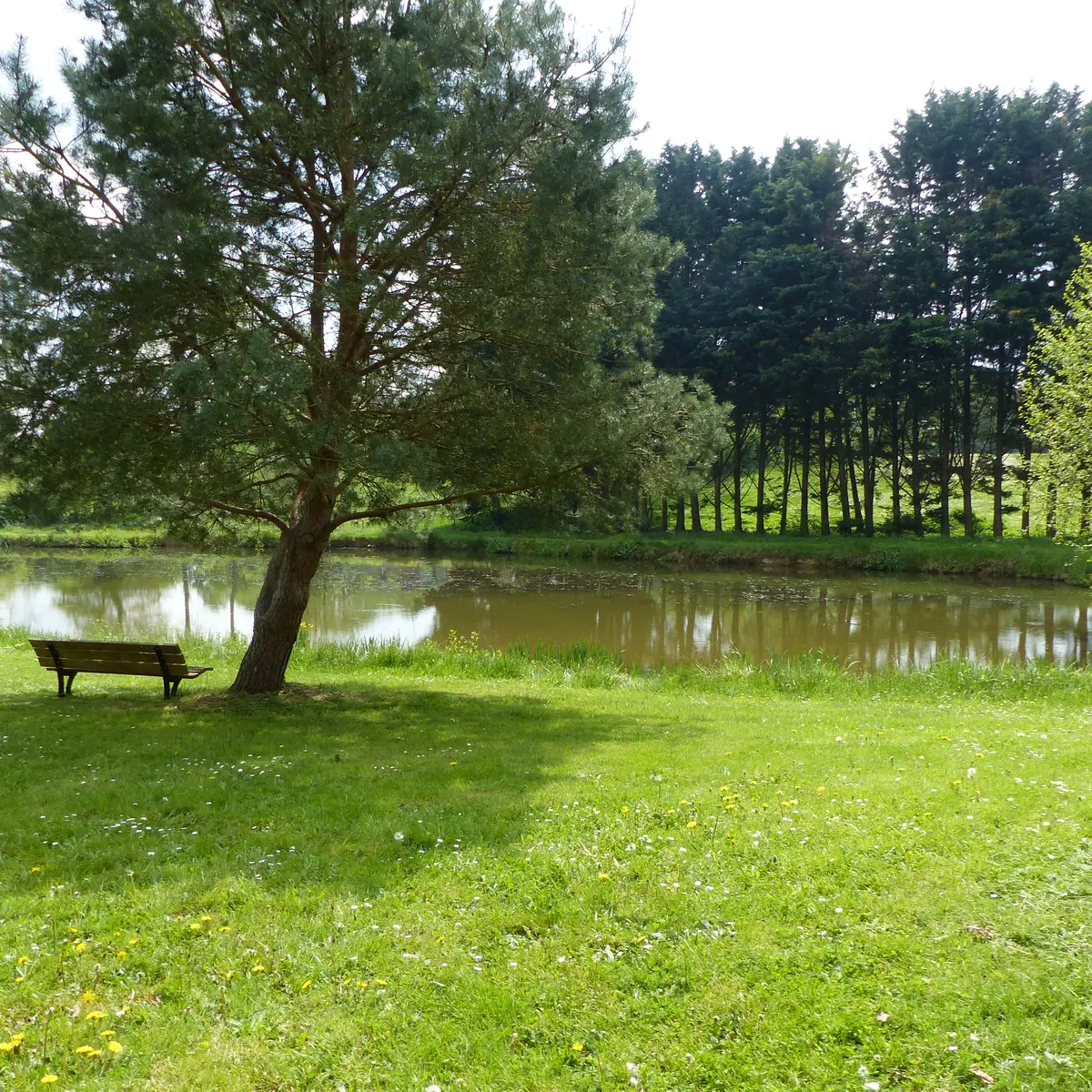 2022-04-25 Aire naturelle de camping à Blandouet5